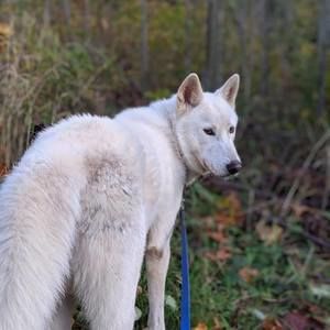 Meet your Posher, Casey